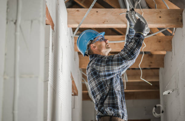 Best Electrical System Inspection  in Waterloo, IN